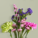 APK Beautiful Spring HD Wallpaper