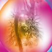 ICNC-CT 2024