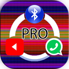 Share It Pro 2019 Files SHARE icon