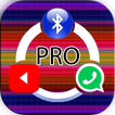 Share It Pro 2019 Files SHARE