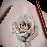 تعلم الرسم بالفحم