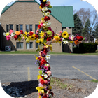 Saranac Community Church আইকন