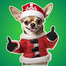 Christmas Dogs WASticker aplikacja