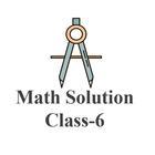 Class Six Math Solution ไอคอน