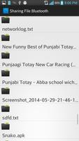 Sharing File Bluetooth screenshot 1