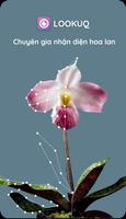 Lookuq hoa lan - Cẩm nang hoa lan bằng hình ảnh bài đăng