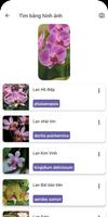 Lookuq hoa lan - Cẩm nang hoa lan bằng hình ảnh ảnh chụp màn hình 2