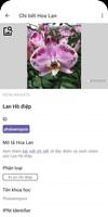 Lookuq hoa lan - Cẩm nang hoa lan bằng hình ảnh ảnh chụp màn hình 3
