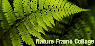 Natur Rahmen Collage