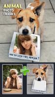 Animal Photo Frames Affiche