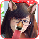 Fun Face APK