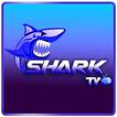 SHARK TV