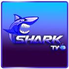 SHARK TV أيقونة