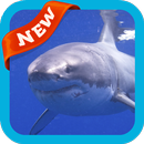 Shark Wallpaper APK