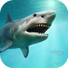 Shark Wallpaper icon