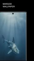 Shark Wallpaper poster