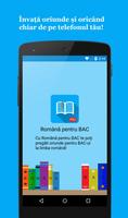 Romana pentru BAC PRO poster