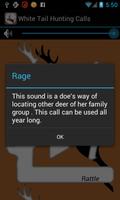Panggilan ekor White Deer screenshot 1