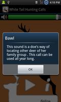 Panggilan ekor White Deer screenshot 3