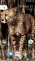 Big Cats HD Live Wallpapers capture d'écran 3