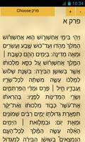 Tikkun Korim, Megillah poster