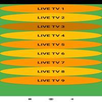 پوستر CA-19 LIVE - BRAZIL