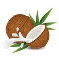 Benefit of Coconut