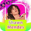 Shawn Mendes all songs online