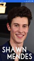 Shawn Mendes FULL ALBUM App تصوير الشاشة 1