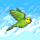 Flappy Budgies 아이콘