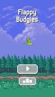 Flappy Budgies 포스터