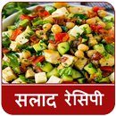 Salad Recipes In Hindi (सलाद रेसिपी) APK