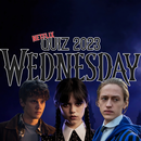 Wednesday Netflix Quiz 2023 APK