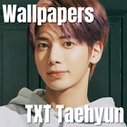 TXT Taehyun Wallpaper 图标