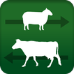 Stock Move Express icon
