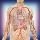 Mysterious human body-APK