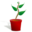 Plant Identification Training Guide-APK