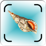 Shell identifier icon