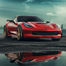 Drag Race Chevrolet Corvette APK