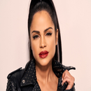 APK Natti Natasha Musica Sin Internet
