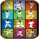 Shotokan Karate Katas aplikacja