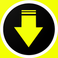 downloader video