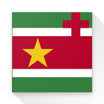 Beginner Sranan Tongo icon
