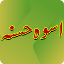 Uswa E Husna offline read free APK