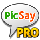 PicSay Pro - Photo Editor icône