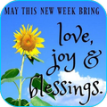 Everyday Blessings Quotes