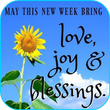 Everyday Blessings Quotes icon