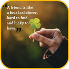 Friendship Quotes icône