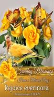 Happy Sunday Blessings Affiche