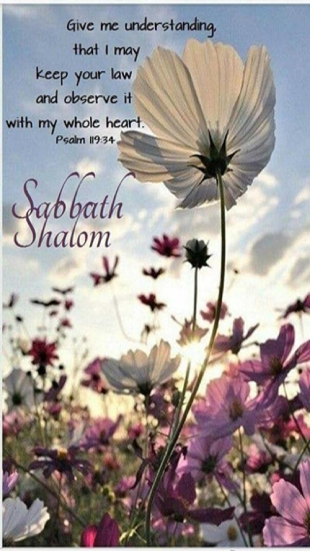 Happy Sabbath Quotes For Android Apk Download